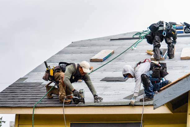 Professional Roofing technician working in Urbana, IA